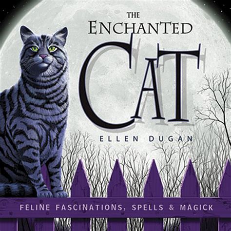 The Cat's Spell: Unveiling the Magic behind Mystical Felines